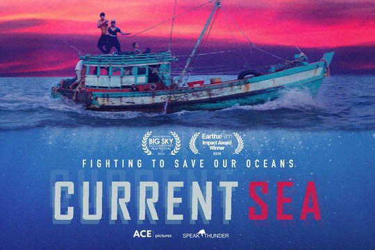 Current Sea
