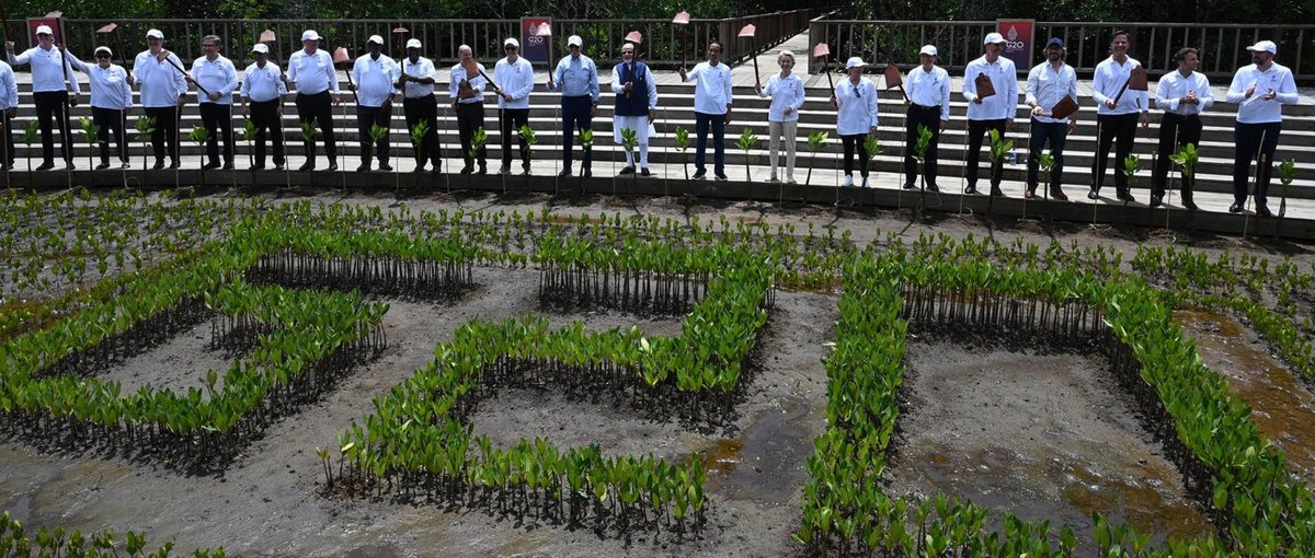 Teilnehmer*innen am G20-Gipfel in Bali im Mangrovenwald von Taman Hutan Raya Ngurah Rai. © La Moncloa.Flickr.CC BY-NC-ND 2.0