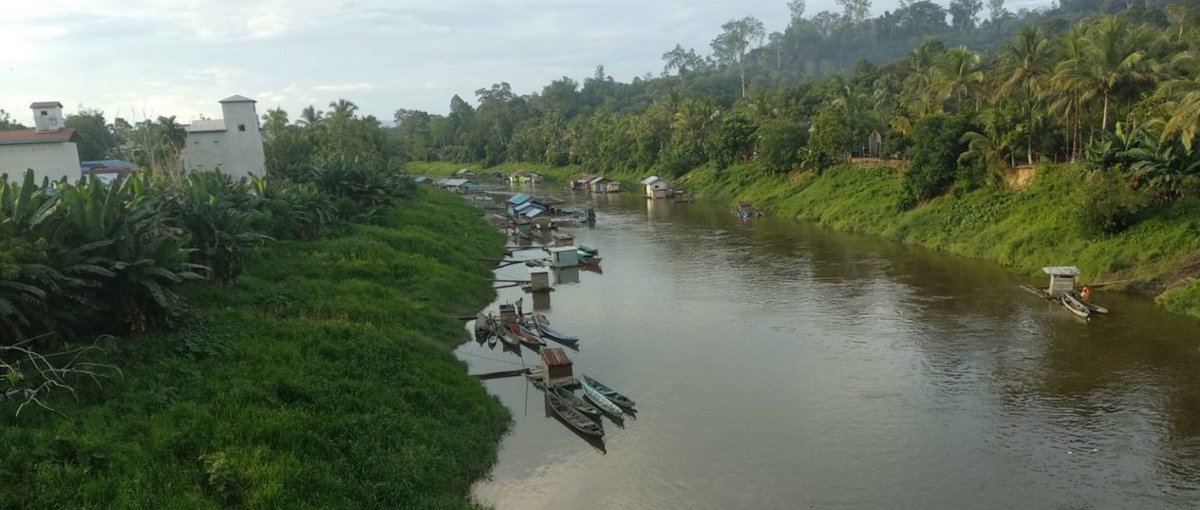 Der Lebensraum der indigenen Gemeinden an den Flüssen Kalimantans ist zunehmend bedroht © Siti Maimunah