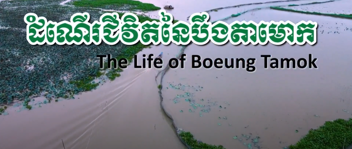 Boeung Tamok