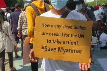 Schon seit Beginn der Proteste, erwarten die Menschen mehr von der UN. (Foto: Henri Myrttinen)