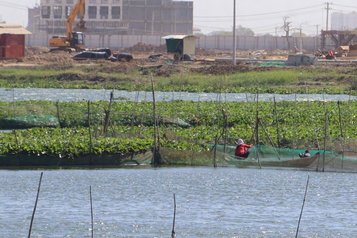 Der Tamok-See in Phnom Penh © STT