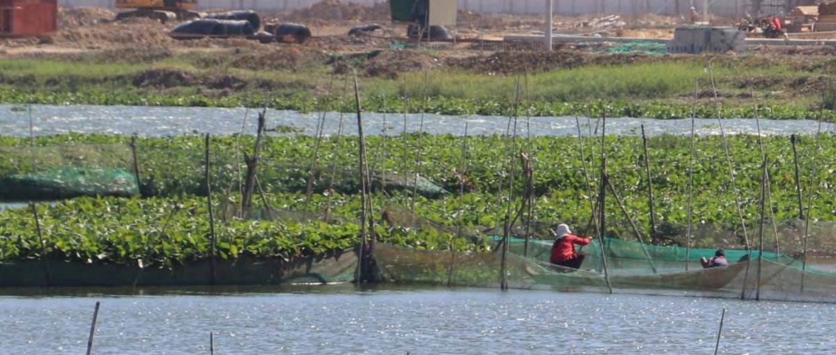 Der Tamok-See in Phnom Penh © STT