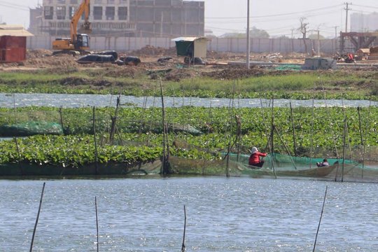 Der Tamok-See in Phnom Penh © STT
