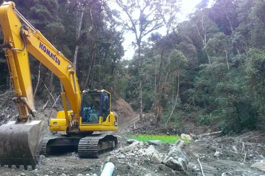 Abholzung in Westpapua, Indonesien