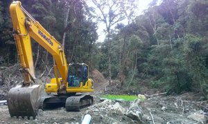 Abholzung Indonesien