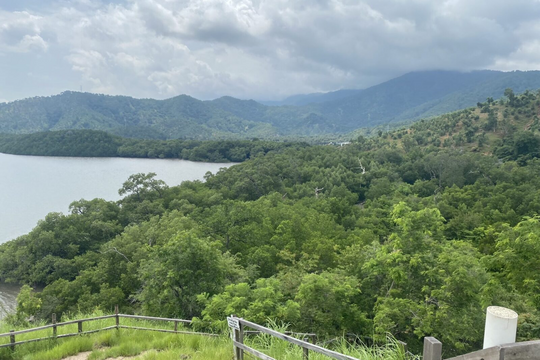 Mangrovenwald Timor-Leste