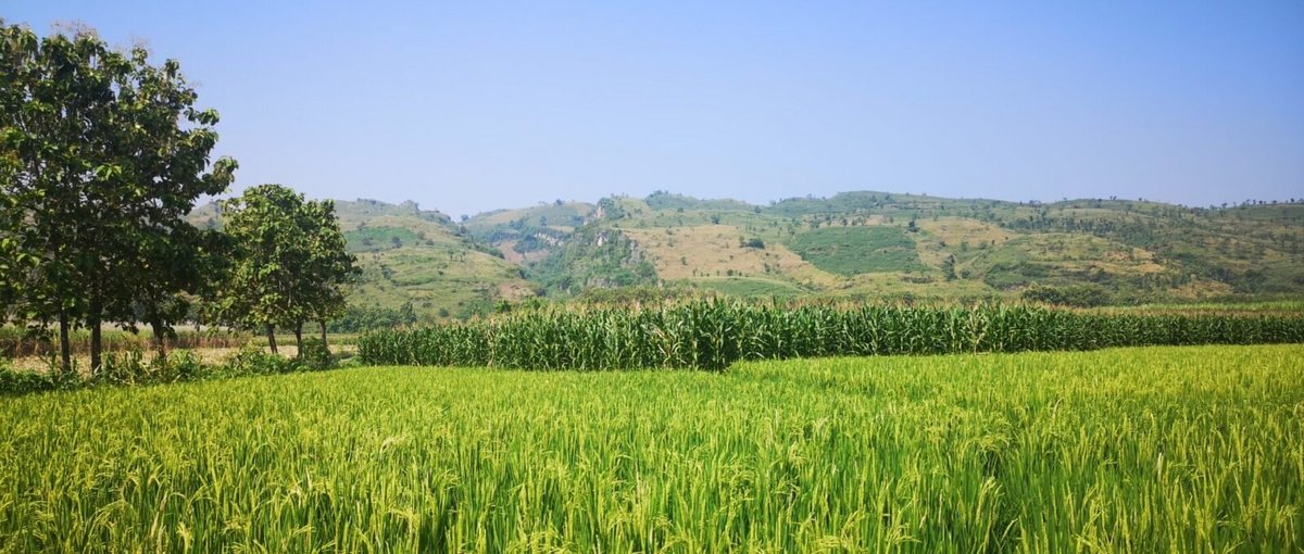 Kendeng-Karstgebirge