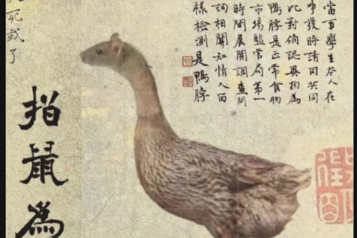 "Auf eine Ratte zeigen und sie eine Ente nennen" ©知乎