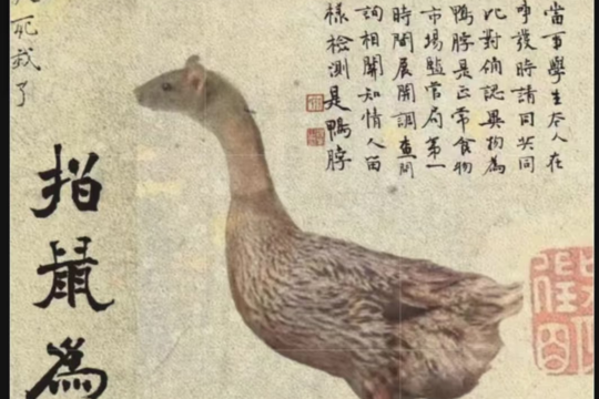 "Auf eine Ratte zeigen und sie eine Ente nennen" ©知乎