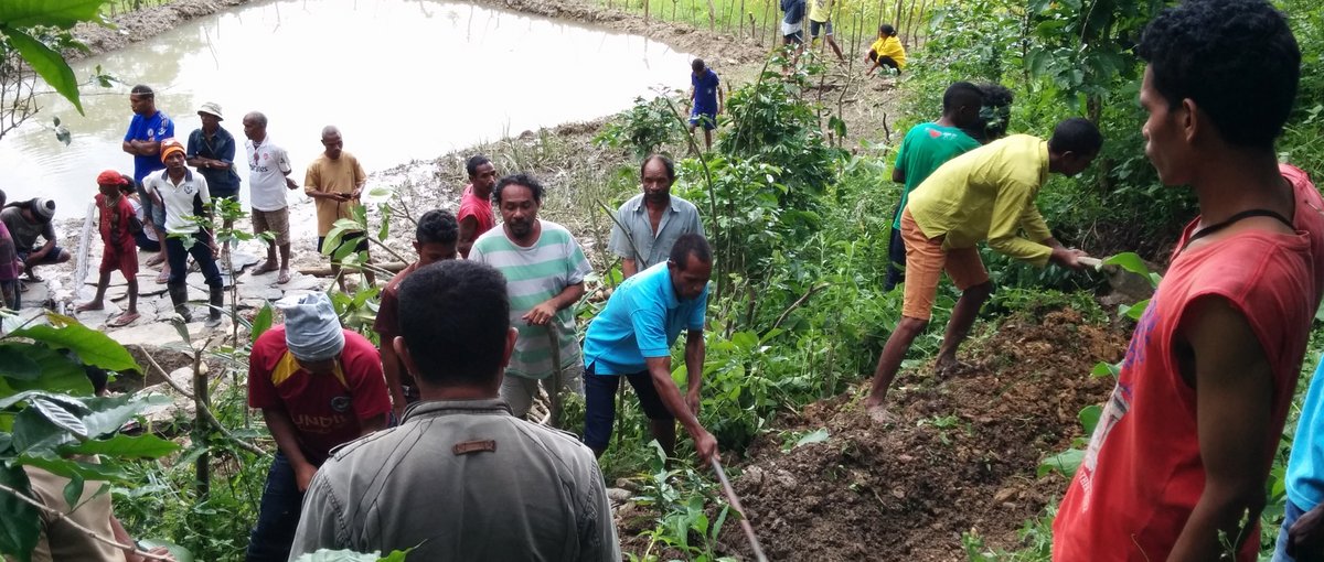 Gemeindeeinsatz zum ‘Wasser anpflanzen’ mit Hilfe von Auffangbecken und Terrassen. Foto: Permatil