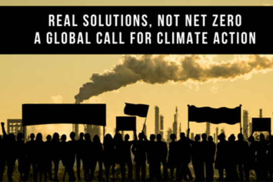 Ein globaler Aufruf zum Klimaschutz (© Real Solutions Not ‘Net Zero’).