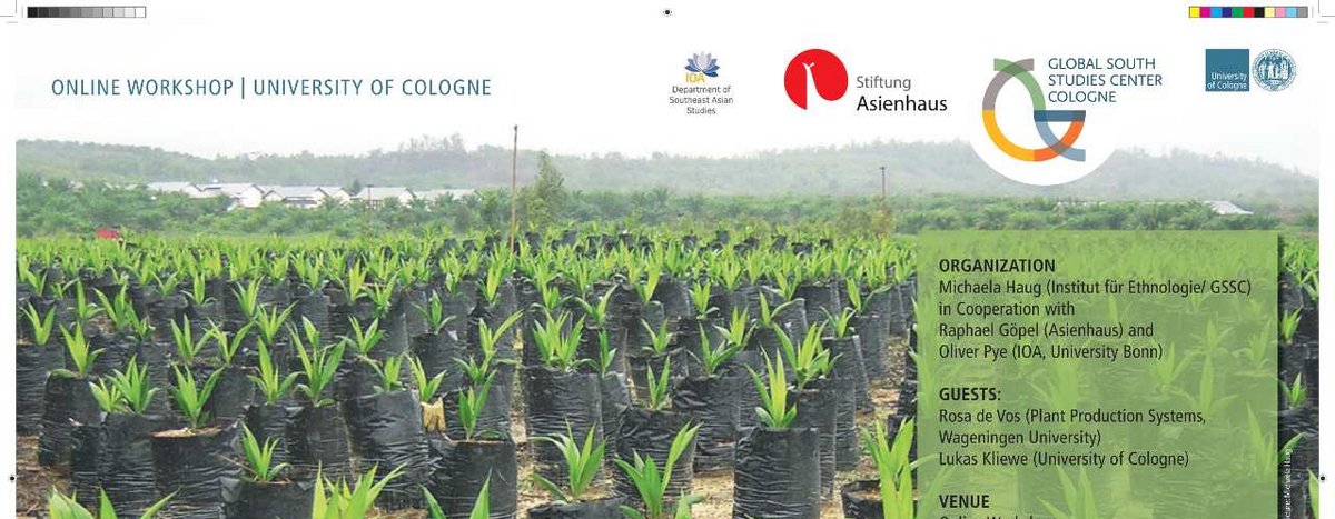 Fachgespräch Palmöl