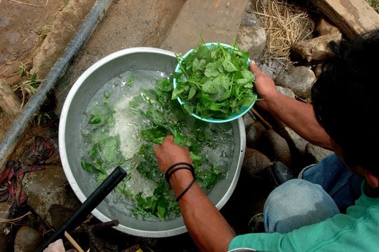 Wasserqualität Philippinen