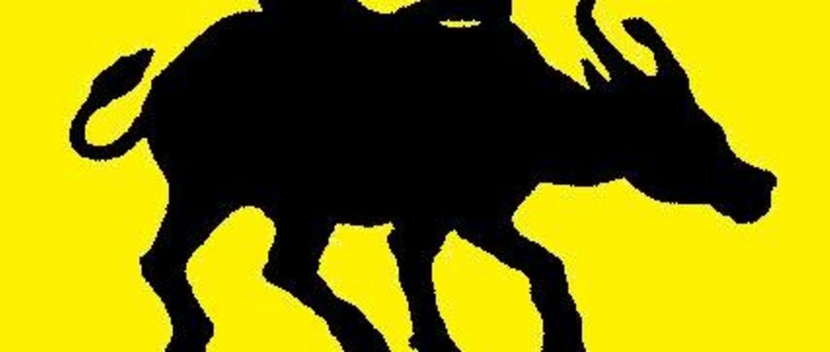 Logo philippinenbüro e.V. ( © philippinenbüro).